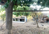 Finca rústica en venta en Daya Nueva ref: TR353865 foto