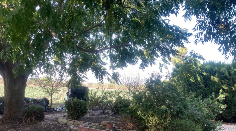 Alicante - Dolores - 6272m2