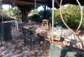 Foto 8
