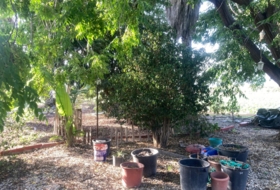 Foto 14