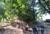 Finca rústica en venta en Dolores ref: TR353459 foto