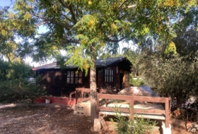 Foto 15