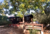 Finca rústica en venta en Dolores ref: TR353459 foto