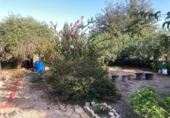 Finca rústica en venta en Dolores ref: TR353459 foto