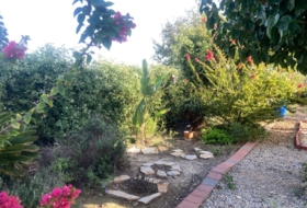 Foto 17