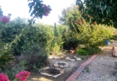 Finca rústica en venta en Dolores ref: TR353459 foto