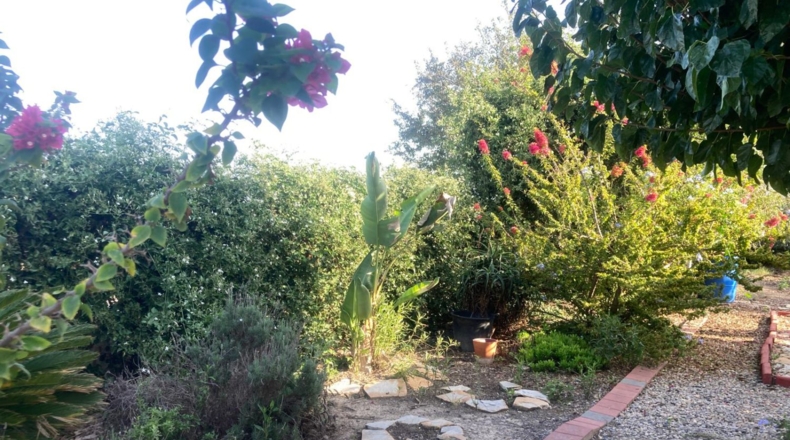 Alicante - Dolores - 6272m2