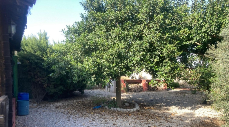 Alicante - Dolores - 6272m2