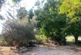 Foto 20