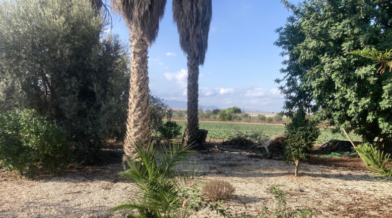 Alicante - Dolores - 6272m2
