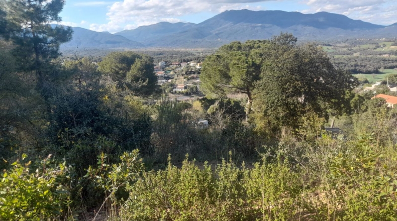 Barcelona - Vallgorguina - 521m2