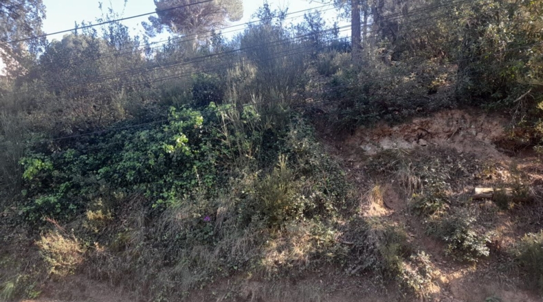 Barcelona - Vallgorguina - 521m2