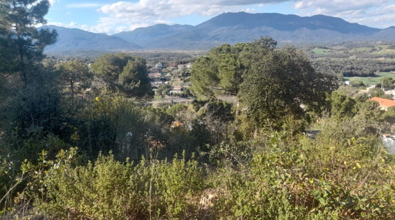 Barcelona - Vallgorguina - 521m2