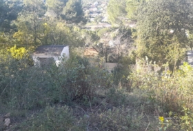 Foto 11