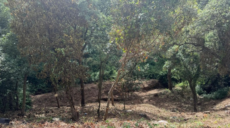 Barcelona - Vallgorguina - 631m2