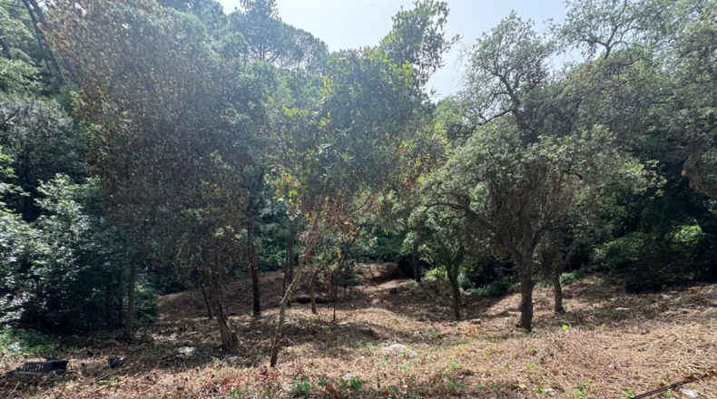 Barcelona - Vallgorguina - 631m2
