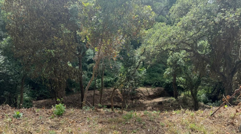 Barcelona - Vallgorguina - 631m2