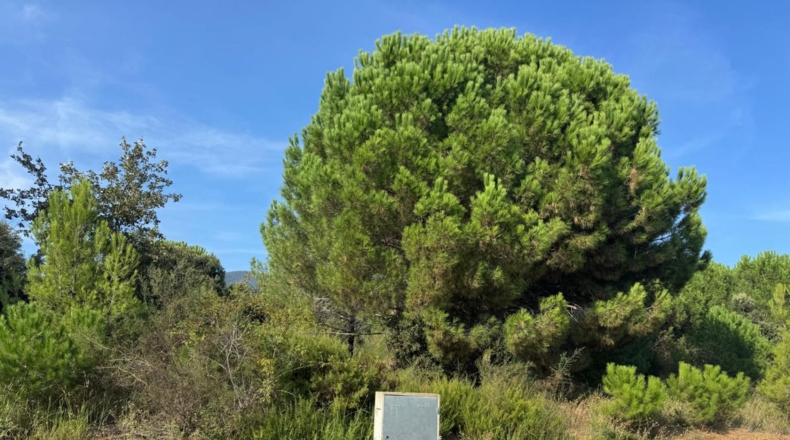 Barcelona - Cànoves - 158m2