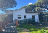 Chalet independiente con terreno en venta en Sant Pere de Vilamajor ref: TR382444 foto