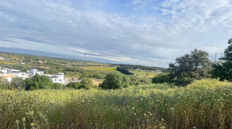 Huelva - Aljaraque - 150m2