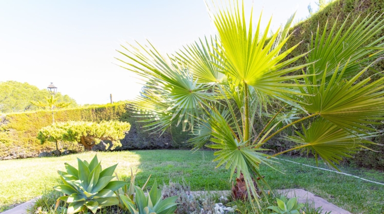 Huelva - Dehesa Golf - 1204m2
