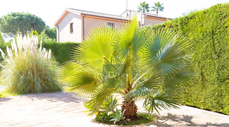 Huelva - Dehesa Golf - 1204m2