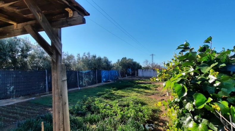 Tarragona - Montbrió del Camp - 10000m2