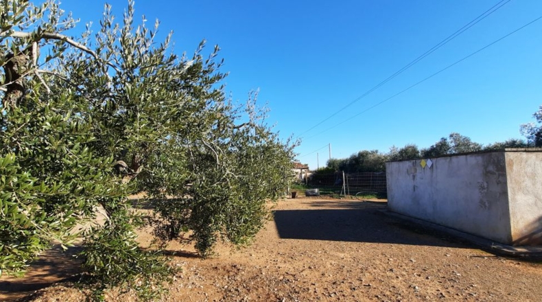Tarragona - Montbrió del Camp - 10000m2