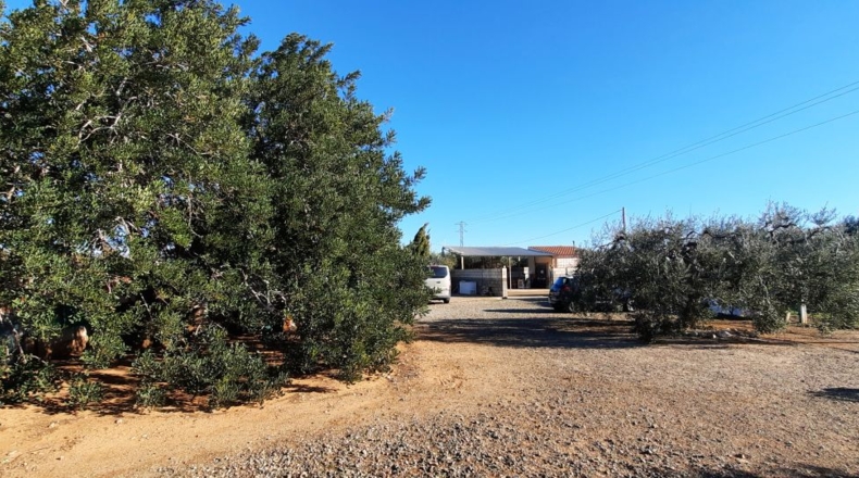 Tarragona - Montbrió del Camp - 10000m2