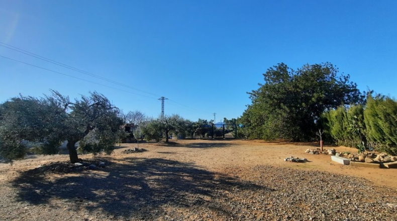 Tarragona - Montbrió del Camp - 10000m2