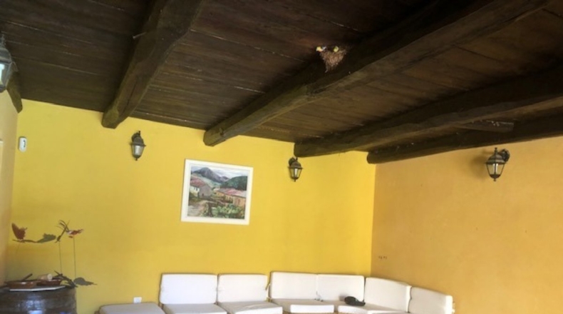 Leon - León - 700m2