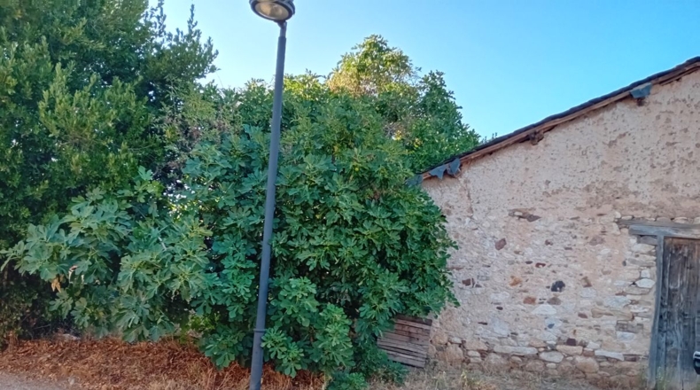 Leon - Campo - 693m2