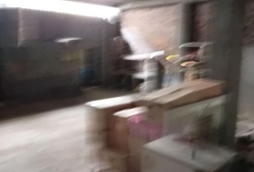 Foto 11