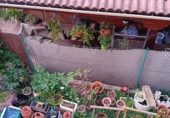 Chalet independiente con terreno en venta en la España, Carracedelo, ref: TR254693 foto