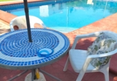 Detached villa with land for sale in Albacete ref: TR201730 photo