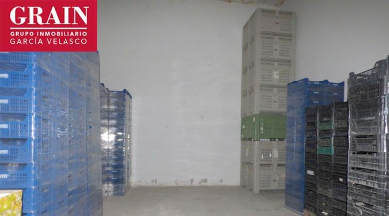 Albacete - La Torrecica - 4905m2