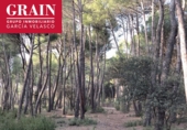 Suelo urbano en venta en Albacete ref: TR253612 foto