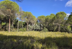 Albacete 10000&nbsp;m² 
