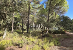 Albacete 10000&nbsp;m² 