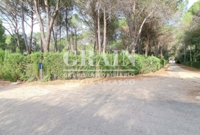 Albacete 10000&nbsp;m² 