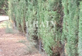 Albacete 10000&nbsp;m² 
