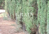Sòl urbà en venda a Albacete ref.: TR109704 foto