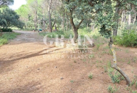 Albacete 10000&nbsp;m² 