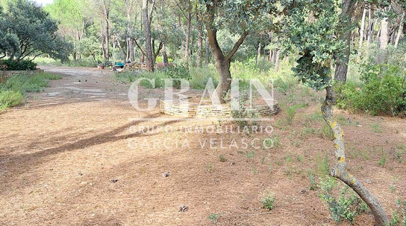 Albacete - Villar de Pozo-Rubio - 10000m2