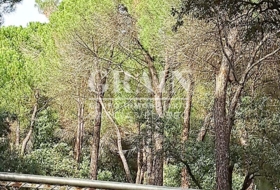Albacete 10000&nbsp;m² 
