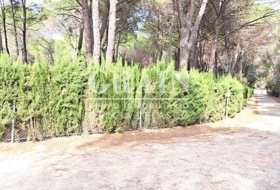 Albacete 10000&nbsp;m² 