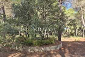 Albacete 10000&nbsp;m² 