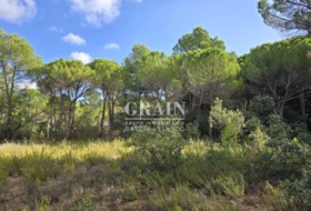 Albacete 10000&nbsp;m² 