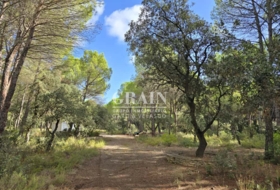 Albacete 10000&nbsp;m² 