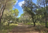 Sòl urbà en venda a Albacete ref.: TR109704 foto